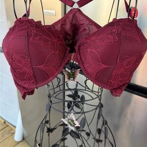 Lace Push-Up Bra - Wine